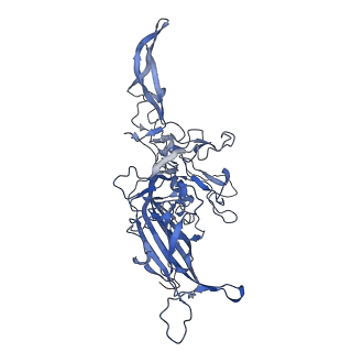 24718_7rwl_J_v1-0
Envelope-associated Adeno-associated virus serotype 2