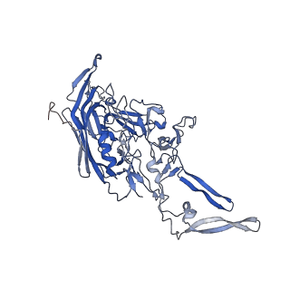 24718_7rwl_K_v1-0
Envelope-associated Adeno-associated virus serotype 2