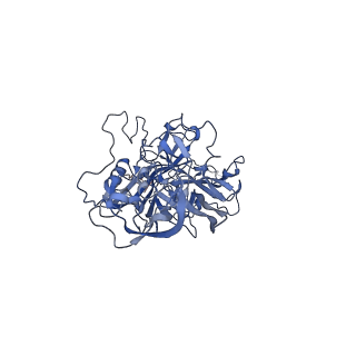 24718_7rwl_L_v1-0
Envelope-associated Adeno-associated virus serotype 2