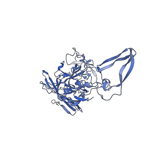 24718_7rwl_M_v1-0
Envelope-associated Adeno-associated virus serotype 2