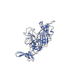 24718_7rwl_N_v1-0
Envelope-associated Adeno-associated virus serotype 2