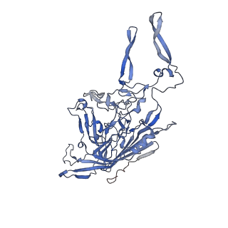 24718_7rwl_P_v1-0
Envelope-associated Adeno-associated virus serotype 2