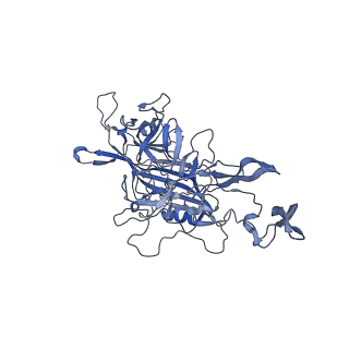24718_7rwl_Q_v1-0
Envelope-associated Adeno-associated virus serotype 2