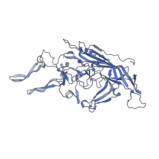 24718_7rwl_R_v1-0
Envelope-associated Adeno-associated virus serotype 2