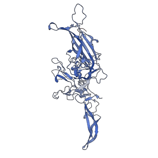24718_7rwl_S_v1-0
Envelope-associated Adeno-associated virus serotype 2