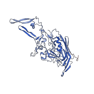 24718_7rwl_T_v1-0
Envelope-associated Adeno-associated virus serotype 2