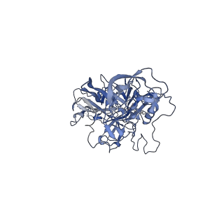 24718_7rwl_U_v1-0
Envelope-associated Adeno-associated virus serotype 2