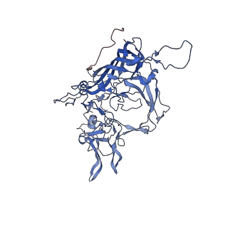 24718_7rwl_V_v1-0
Envelope-associated Adeno-associated virus serotype 2