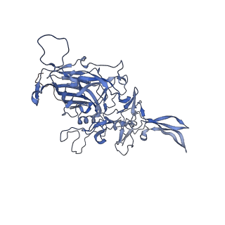 24718_7rwl_W_v1-0
Envelope-associated Adeno-associated virus serotype 2