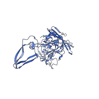 24718_7rwl_X_v1-0
Envelope-associated Adeno-associated virus serotype 2
