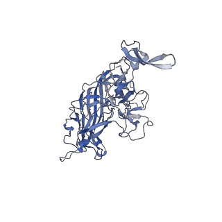 24718_7rwl_Y_v1-0
Envelope-associated Adeno-associated virus serotype 2