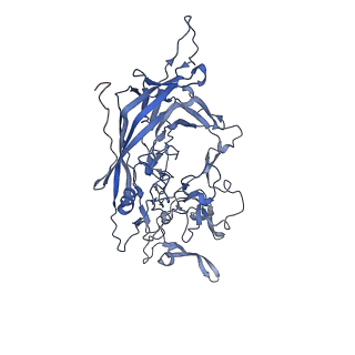 24718_7rwl_Z_v1-0
Envelope-associated Adeno-associated virus serotype 2