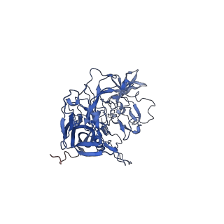 24718_7rwl_a_v1-0
Envelope-associated Adeno-associated virus serotype 2
