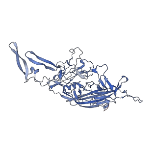 24718_7rwl_b_v1-0
Envelope-associated Adeno-associated virus serotype 2