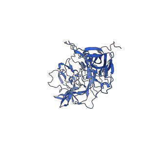 24718_7rwl_d_v1-0
Envelope-associated Adeno-associated virus serotype 2