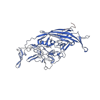 24718_7rwl_f_v1-0
Envelope-associated Adeno-associated virus serotype 2