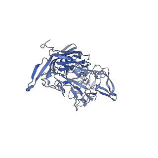 24718_7rwl_h_v1-0
Envelope-associated Adeno-associated virus serotype 2