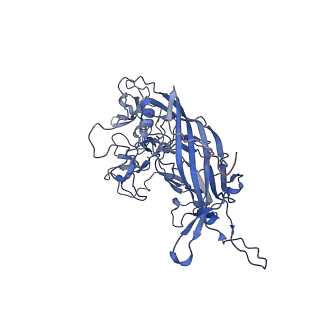 24718_7rwl_i_v1-0
Envelope-associated Adeno-associated virus serotype 2