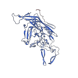 24718_7rwl_j_v1-0
Envelope-associated Adeno-associated virus serotype 2