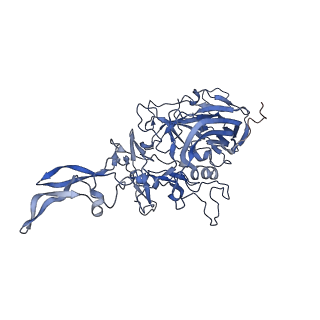 24718_7rwl_k_v1-0
Envelope-associated Adeno-associated virus serotype 2