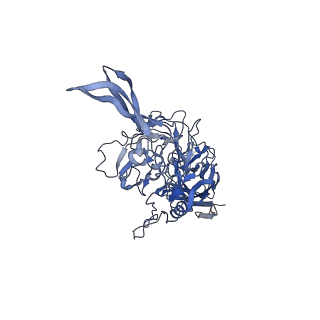 24718_7rwl_n_v1-0
Envelope-associated Adeno-associated virus serotype 2