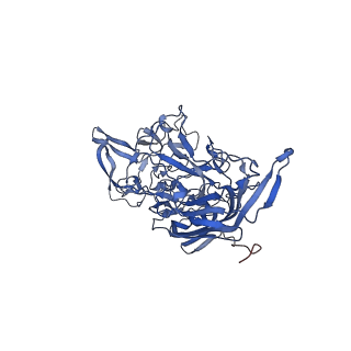 24718_7rwl_o_v1-0
Envelope-associated Adeno-associated virus serotype 2