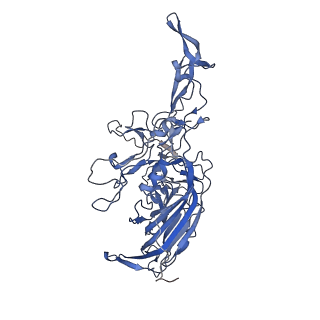 24718_7rwl_r_v1-0
Envelope-associated Adeno-associated virus serotype 2