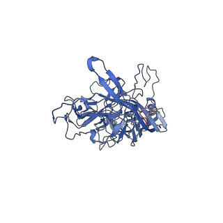 24718_7rwl_s_v1-0
Envelope-associated Adeno-associated virus serotype 2