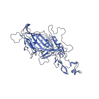 24718_7rwl_t_v1-0
Envelope-associated Adeno-associated virus serotype 2