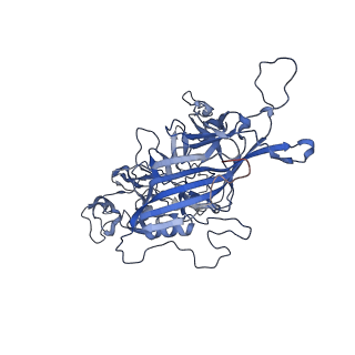 24718_7rwl_u_v1-0
Envelope-associated Adeno-associated virus serotype 2
