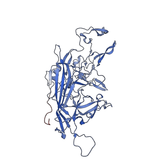 24718_7rwl_v_v1-0
Envelope-associated Adeno-associated virus serotype 2