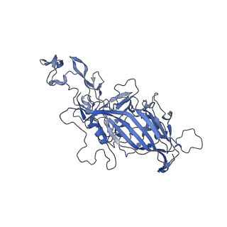 24718_7rwl_w_v1-0
Envelope-associated Adeno-associated virus serotype 2