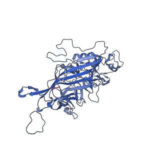 24718_7rwl_x_v1-0
Envelope-associated Adeno-associated virus serotype 2