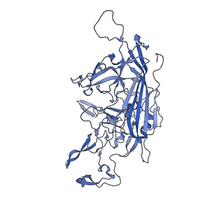 24718_7rwl_y_v1-0
Envelope-associated Adeno-associated virus serotype 2