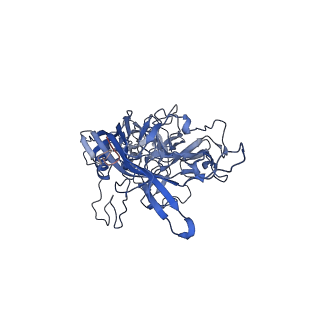 24718_7rwl_z_v1-0
Envelope-associated Adeno-associated virus serotype 2