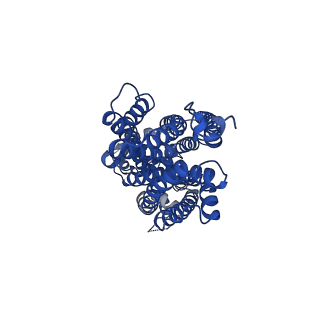 10049_6rx4_A_v1-1
THE STRUCTURE OF BD OXIDASE FROM ESCHERICHIA COLI