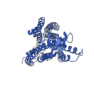10049_6rx4_B_v1-1
THE STRUCTURE OF BD OXIDASE FROM ESCHERICHIA COLI