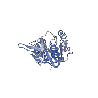 10052_6rxu_CB_v1-1
Cryo-EM structure of the 90S pre-ribosome (Kre33-Noc4) from Chaetomium thermophilum, state B1