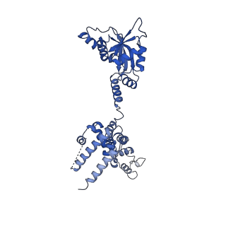 10052_6rxu_CC_v1-1
Cryo-EM structure of the 90S pre-ribosome (Kre33-Noc4) from Chaetomium thermophilum, state B1