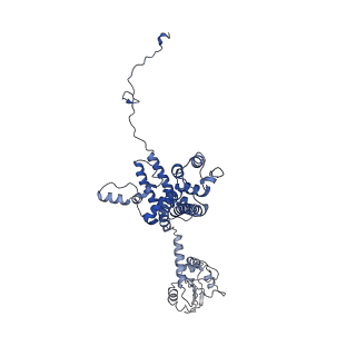 10052_6rxu_CD_v1-1
Cryo-EM structure of the 90S pre-ribosome (Kre33-Noc4) from Chaetomium thermophilum, state B1