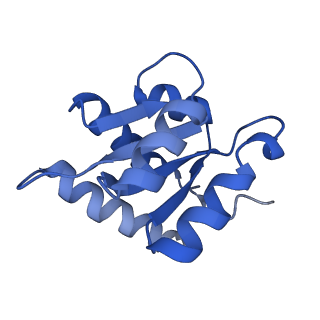 10052_6rxu_CE_v1-1
Cryo-EM structure of the 90S pre-ribosome (Kre33-Noc4) from Chaetomium thermophilum, state B1