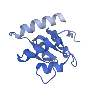 10052_6rxu_CF_v1-1
Cryo-EM structure of the 90S pre-ribosome (Kre33-Noc4) from Chaetomium thermophilum, state B1