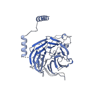 10052_6rxu_CG_v1-1
Cryo-EM structure of the 90S pre-ribosome (Kre33-Noc4) from Chaetomium thermophilum, state B1