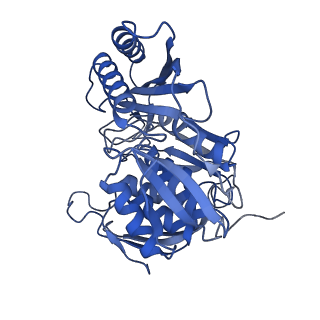 10052_6rxu_CH_v1-1
Cryo-EM structure of the 90S pre-ribosome (Kre33-Noc4) from Chaetomium thermophilum, state B1