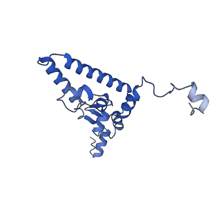 10052_6rxu_CJ_v1-1
Cryo-EM structure of the 90S pre-ribosome (Kre33-Noc4) from Chaetomium thermophilum, state B1