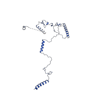 10052_6rxu_CL_v1-1
Cryo-EM structure of the 90S pre-ribosome (Kre33-Noc4) from Chaetomium thermophilum, state B1
