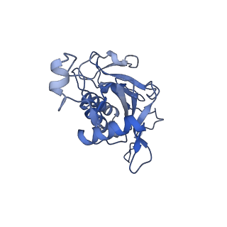 10052_6rxu_CN_v1-1
Cryo-EM structure of the 90S pre-ribosome (Kre33-Noc4) from Chaetomium thermophilum, state B1