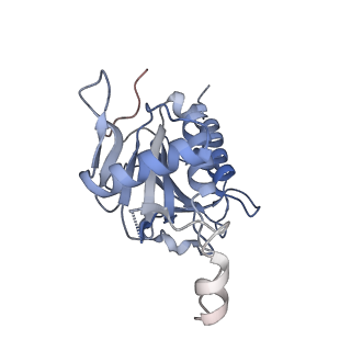 10052_6rxu_CO_v1-1
Cryo-EM structure of the 90S pre-ribosome (Kre33-Noc4) from Chaetomium thermophilum, state B1