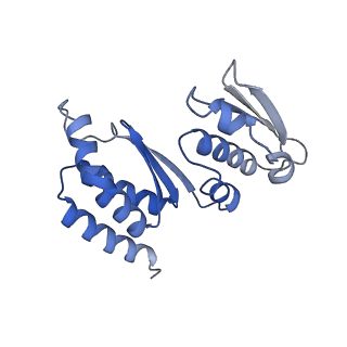 10052_6rxu_CQ_v1-1
Cryo-EM structure of the 90S pre-ribosome (Kre33-Noc4) from Chaetomium thermophilum, state B1