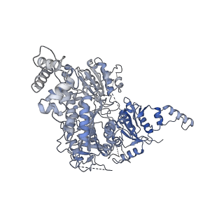 10052_6rxu_CR_v1-1
Cryo-EM structure of the 90S pre-ribosome (Kre33-Noc4) from Chaetomium thermophilum, state B1